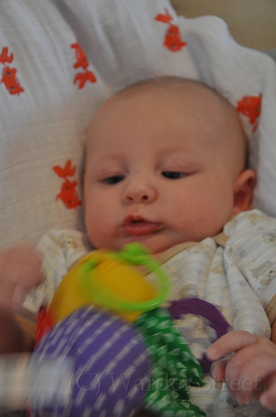 William's Eleventh Week 26.jpg